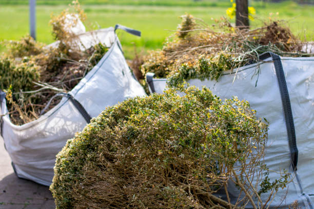 Shed Removal in Smithville, MO